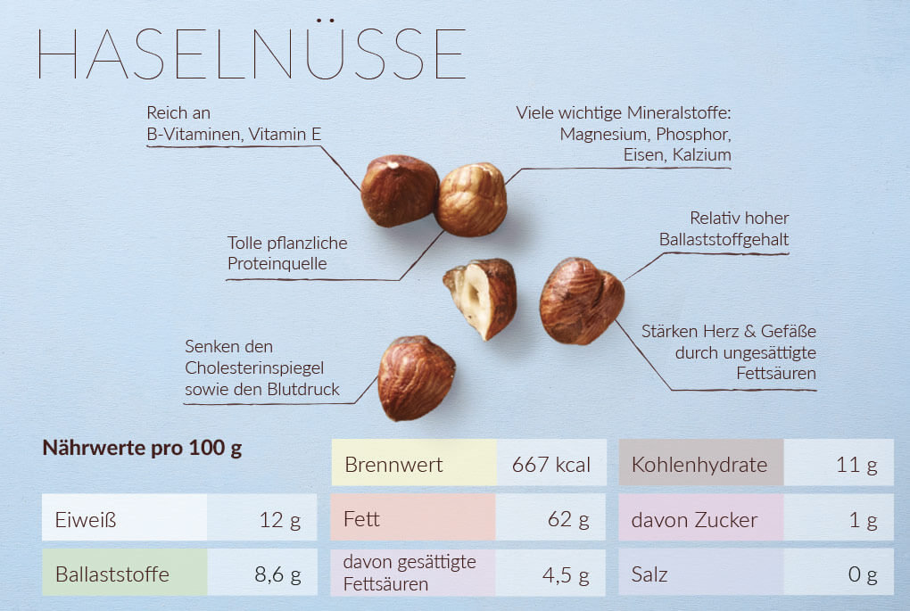 N Sse Gr Nde Nusssorten Im Berblick Verival Blog